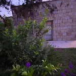 Villagi * Notteri